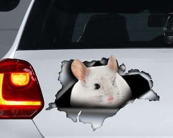 Autocollant de voiture chinchilla blanc, aimant de voiture chinchilla blanc, autocollant chinchilla