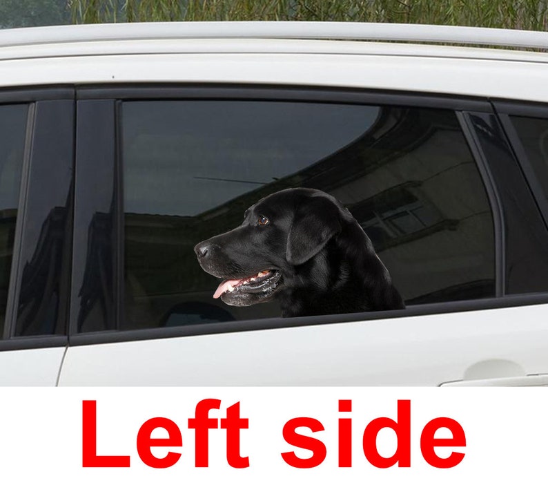 Black Lab Car Window Sticker 3D Sticker Funny Sticker Etsy