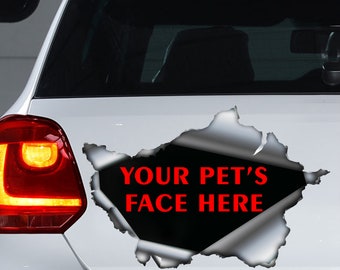 Custom design, custom pet decal, custom sticker, custom magnet