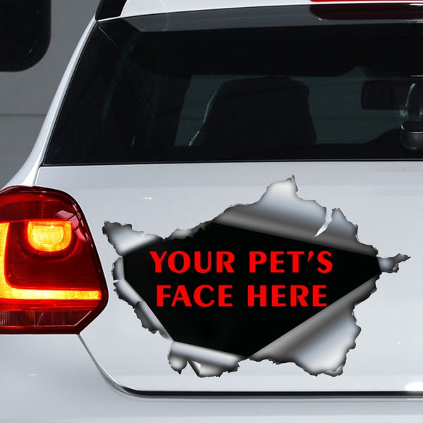 Custom design, custom pet decal, custom sticker, custom magnet