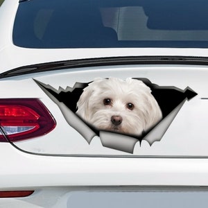 Maltese car decal, Maltese magnet,  vinyl decal, maltese sticker