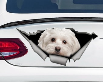 Maltese car decal, Maltese magnet,  vinyl decal, maltese sticker