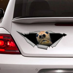 Harbor Seal decal , Seal magnet,  Harbor sticker, funny  decal, fridge magnet