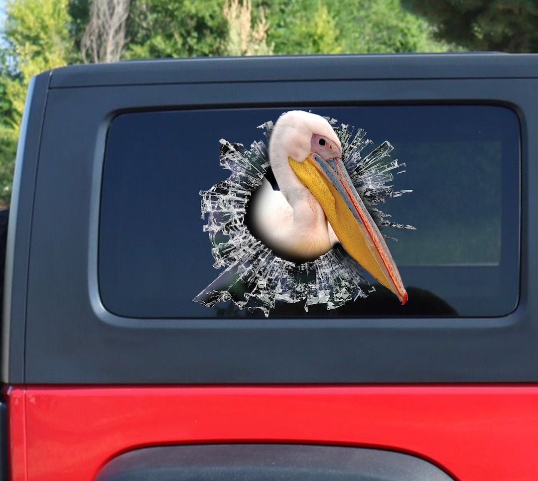 Pelican Window Decal, Pelican Car Sticker, Pelican Car Decal Etsy