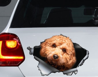 Cavapoo Aufkleber , Cavoodle Aufkleber, Cavapoo Magnet, Cavadoodle AutoAufkleber