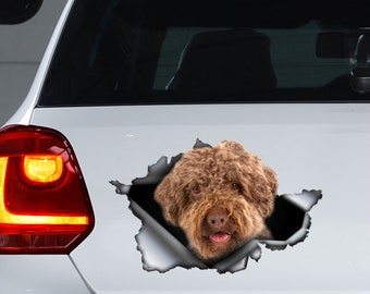 Lagotto romagnolo decal , Lagotto romagnolo magnet, Lagotto romagnolo sticker
