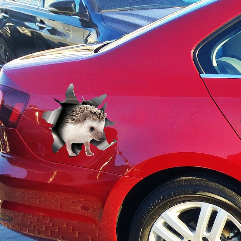 May include: A red car featuring a hedgehog decal, giving the illusion of the animal breaking through the vehicle's surface. The hedgehog is depicted in brown and white, with a textured appearance, creating a 3D effect.