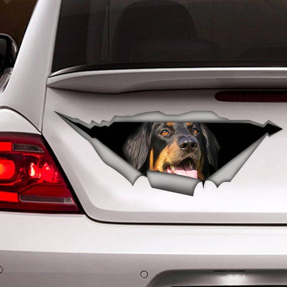 Hovawart Decal , Pet Car Decal, Dog Decal, Car Decoration, Funny Decal, 3D  Sticker 