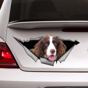 Brown and White Springer Spaniel  car decal,  dog car decal, spaniel magnet, spaniel sticker