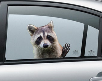 Raccoon window sticker , animal decal, 3D sticker, Vinyl decal, funny sticker, raccon sticker