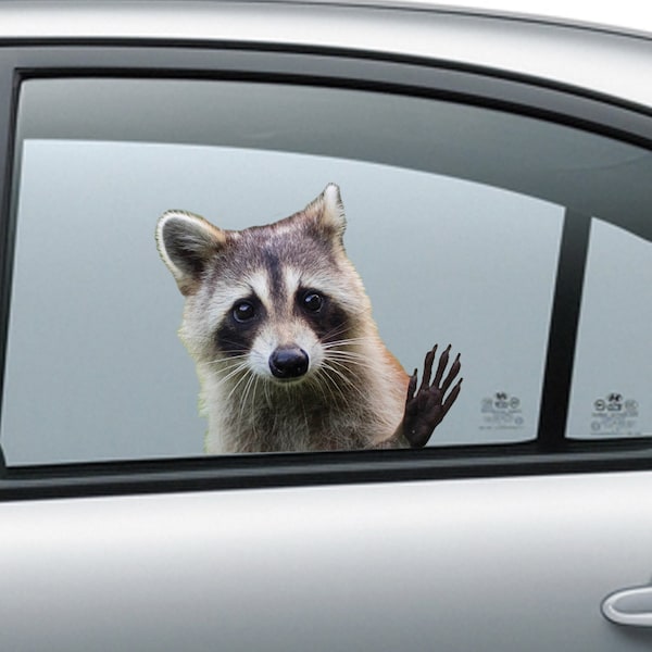 Funny Raccoon Sticker - Etsy