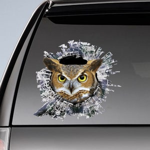 Owl window sticker , owl  window decal,  laptop sticker, funny decal, owl decal