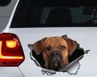 Calcomanía de coche Tan Cane Corso, imán Tan Cane Corso, pegatina Tan Cane Corso