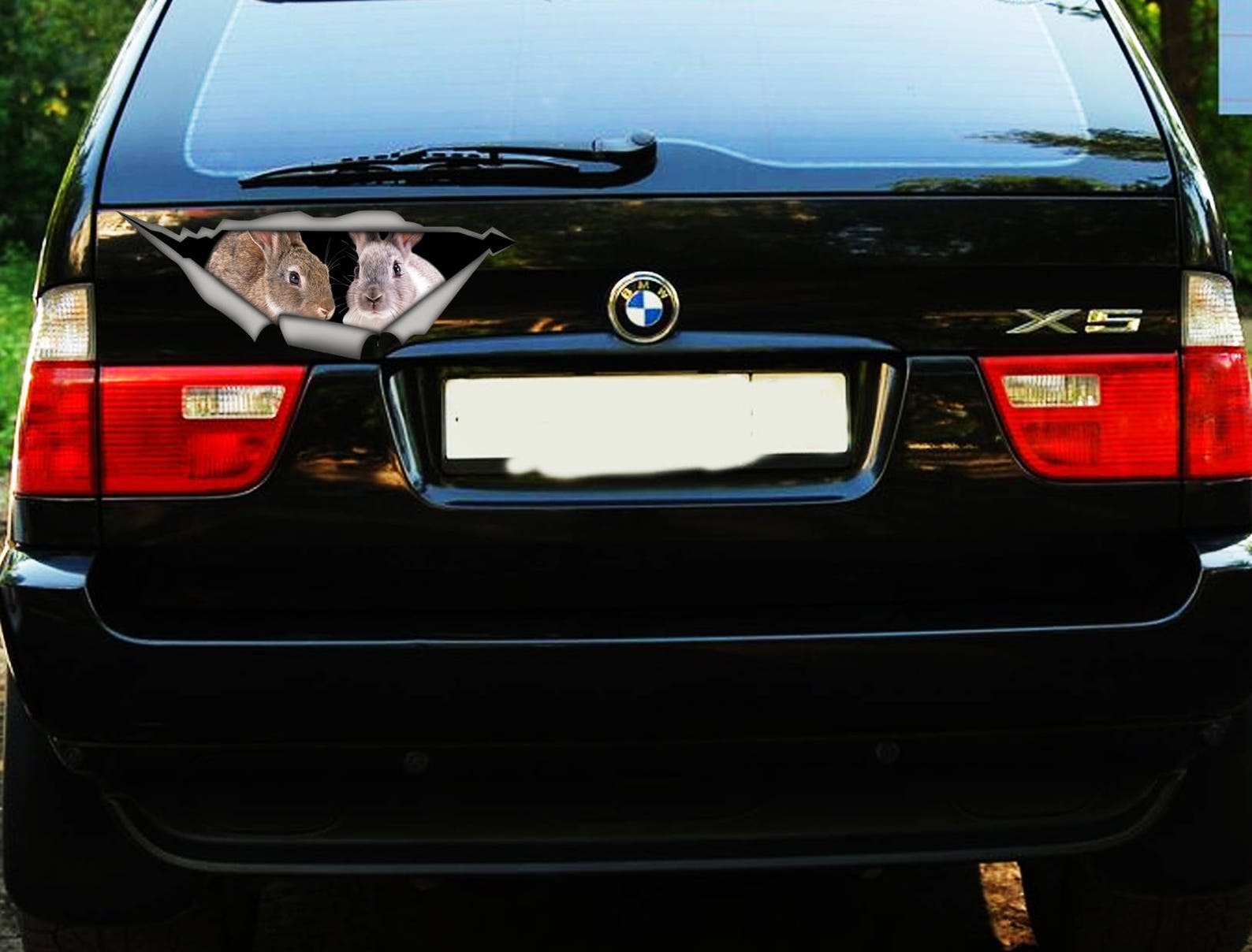 Rabbits Sticker, Bunny Car Decal, Vinyl Decal, Car Decoration, Pet ...