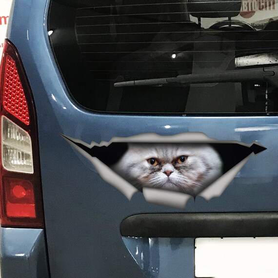 Magnet for Sale mit Lustige Haustier Katze Auto Aufkleber
