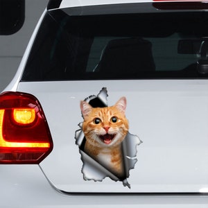 Red Cat decal , Red Cat magnet, Red Cat sticker, Red Cat car decal