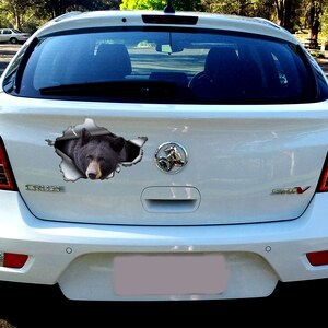 May include: A white car with a black bear sticker on the back window. The sticker is designed to look like the bear is breaking through the window.