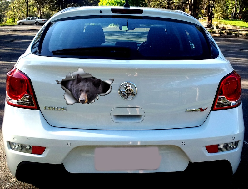 May include: A white car with a black bear sticker on the back window. The sticker is designed to look like the bear is breaking through the window.