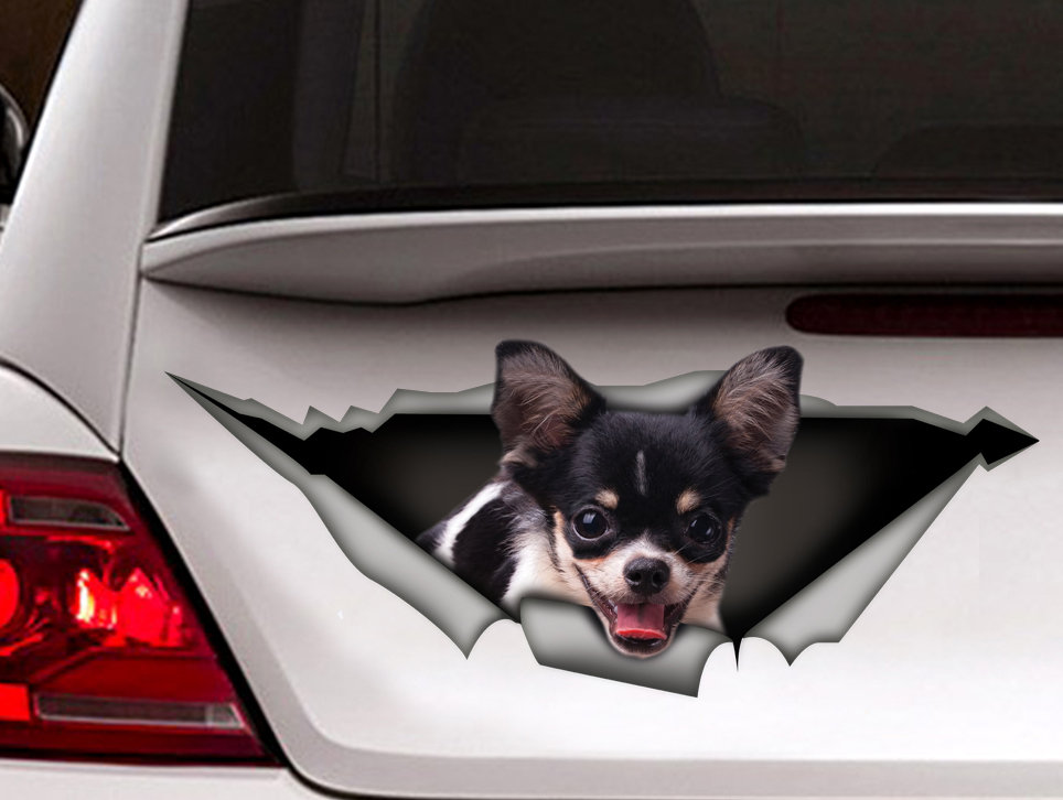 Black and White Chihuahua Car Sticker Vinyl Decal pet Sticker
