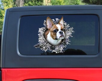 Fawn Boston Terrier window sticker, Boston Terrier car sticker