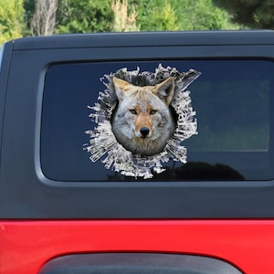 Calcomanía de ventana Coyote, pegatina Coyote, calcomanía de coche Coyote