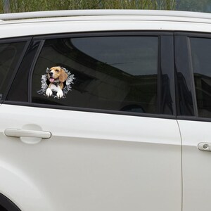 Autocollant de fenêtre Beagle, autocollant de voiture, autocollant de voiture Beagle image 3