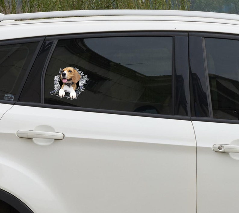 Autocollant de fenêtre Beagle, autocollant de voiture, autocollant de voiture Beagle image 3