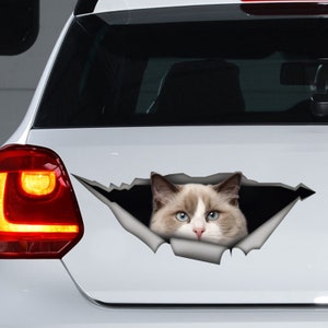 Cute cat car decal, Ragdoll car decal, Ragdoll cat magnet