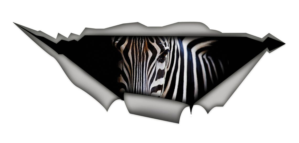 Decal Zebra Car Decal African Decal Zebra Sticker Zebra Etsy