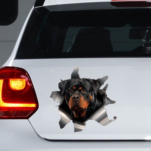 Könnte beinhalten: Der Kopf eines schwarzen und braunen Rottweilers schaut aus einem zerrissenen Stück Metall, wodurch ein 3D-Effekt entsteht. Das Gesicht des Hundes ist ernst und aufmerksam, mit einer schwarzen Nase und braunen Augen. Der Hintergrund ist ein weißes Auto.