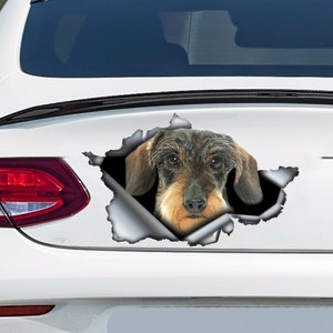 Wire Haired Dachshund car decal, Wire Haired Dachshund magnet, Dachshund sticker, car decoration