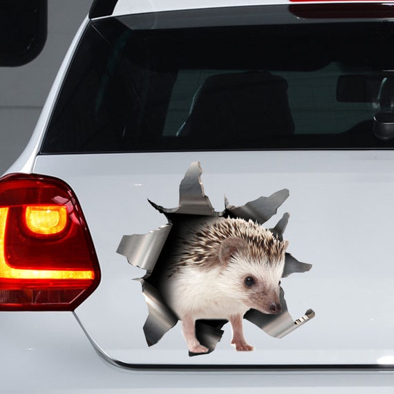 Hedgehog car sticker, hedgehog decal, hedgehog magnet