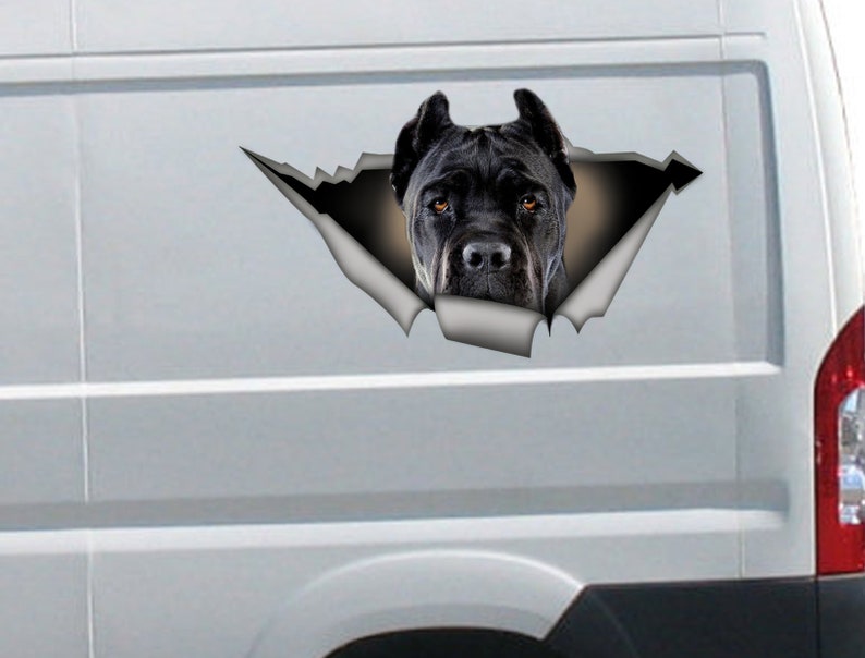 Black Cane Corso Car Decal Pet Sticker Dog Decal Black Cane Etsy