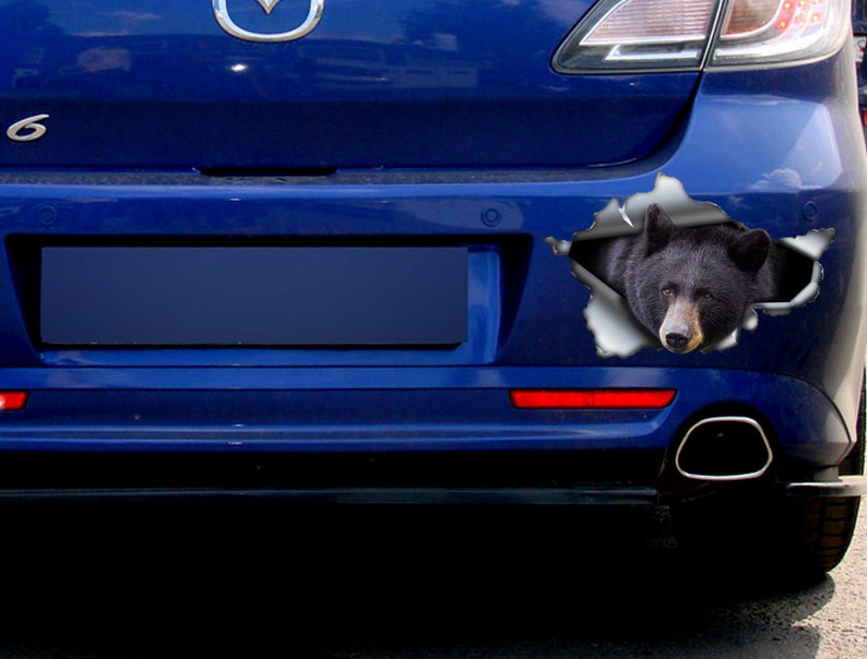 Bear Sticker Car Decoration Car Sticker Vinyl Decal Etsy