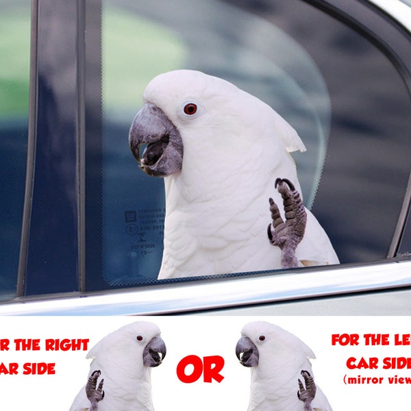 STICKER, Umbrella Cockatoo  window sticker, car sticker, Umbrella Cockatoo car decal, funny sticker