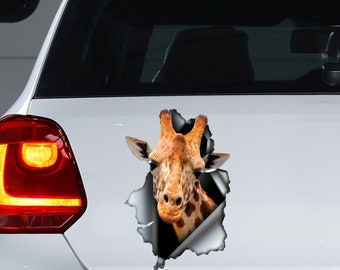 Giraffe decal , Giraffe magnet, Giraffe sticker, Giraffe car decal