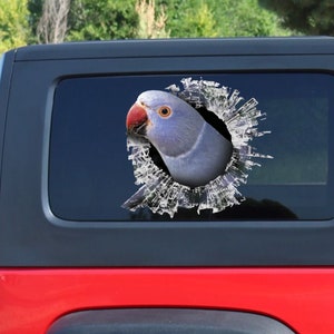 Violet Ringneck sticker , parrot sticker, funny decal, Violet Ringneck decal