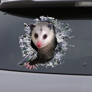 STICKER, opossum  window sticker, car sticker, opossum car decal, funny sticker
