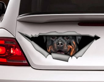 Rottweiler car decal, Rott decal, rott magnet,  rottweiler sticker,  rottweiler magnet