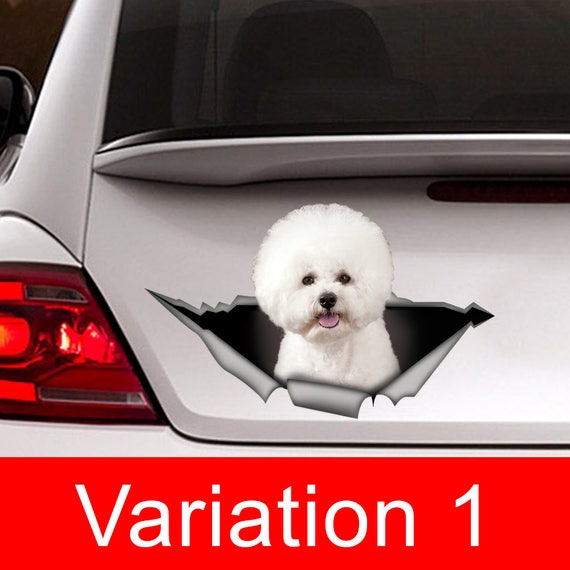 Bichon frise car Decal, Bichon frise sticker ,pet  Decal, dog decal, Car Decal, funny decal, Laptop Decal, 3D sticker