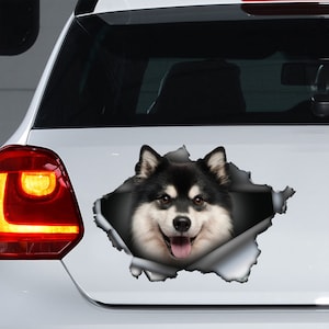 Finse Lapphund magneet, Finse Lapphund hond sticker, Finse Lapphund sticker, koelkast magneet
