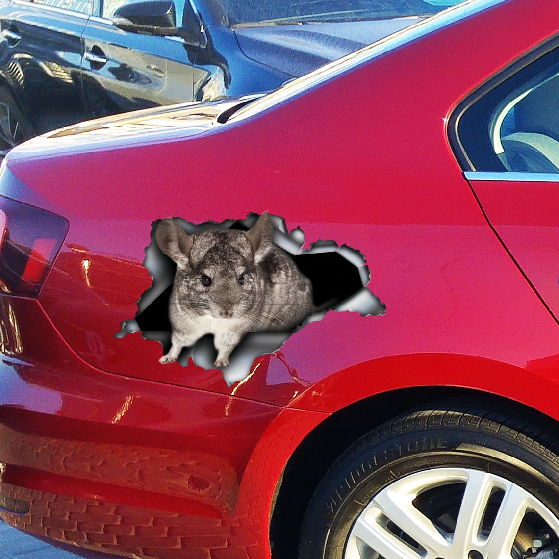 Chinchilla Car Decal Chinchilla Car Chinchilla Etsy UK