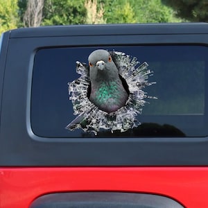 Pigeon window sticker, Pigeon car decal, Pigeon car sticker, gray Pigeon decal