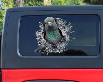 Pigeon window sticker, Pigeon car decal, Pigeon car sticker, gray Pigeon decal