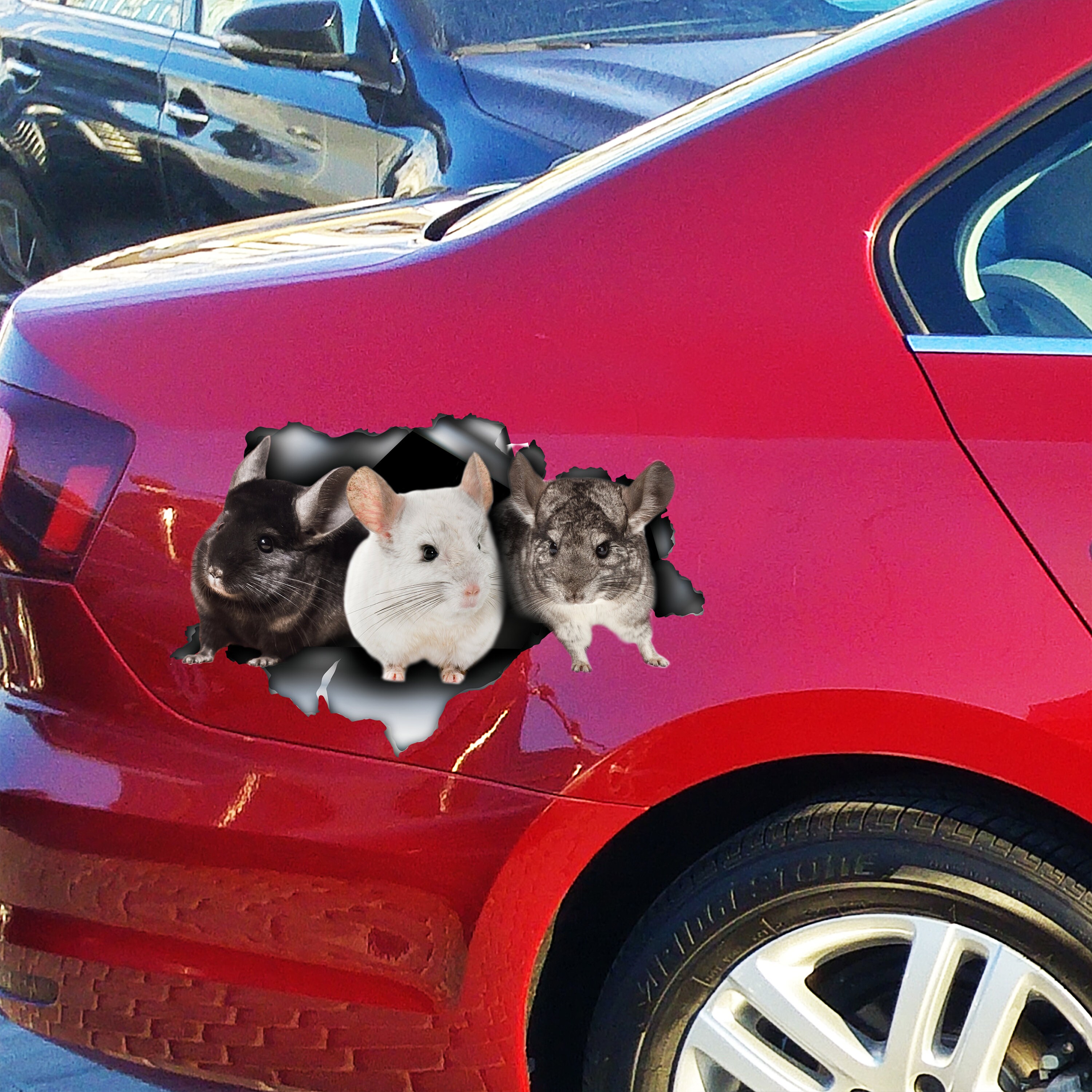 Cute Chinchilla Car Decal, Chinchilla Magnet, Funny Chinchilla Sticker ...