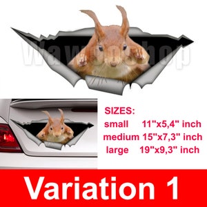 Squirrel car decal,  funny car decal, Vinyl decal, car decoration, squirrel  sticker, animal decal