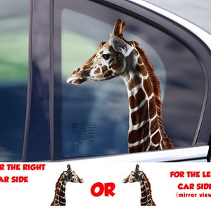 STICKER, Giraffe  window sticker, car sticker, Giraffe car decal, funny sticker