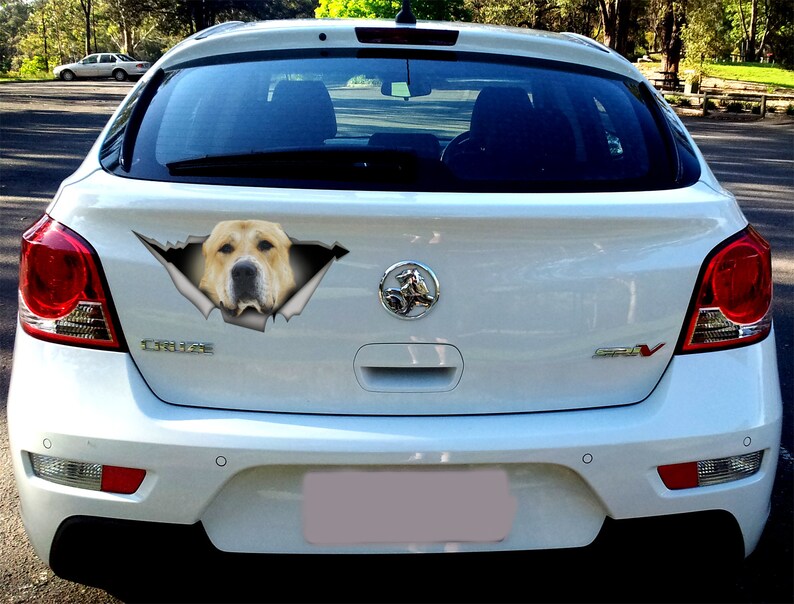 Golden Alabai Sticker, Car Decal, Alabai Magnet, Vinyl Decal ...