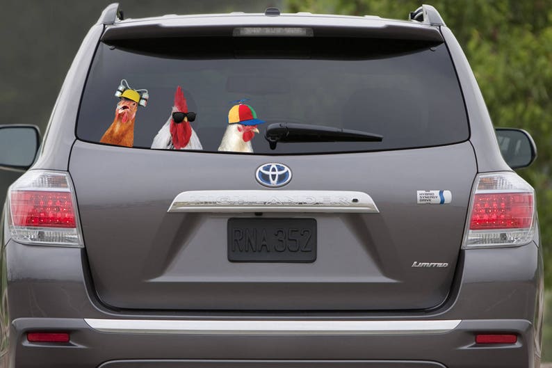 Chicken Window Sticker STICKER, Chickens & Rooster Window Sticker, 16,3x7,8 Inch, Car Sticker ...