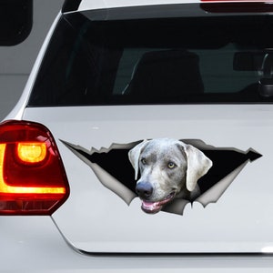 May include: A gray and white dog's head peeks out of a ripped car window sticker. The sticker is designed to look like a ripped piece of paper.